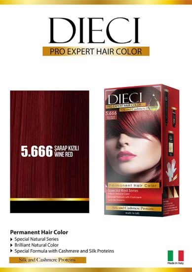 DIECI KIT EXPERT COLOR BOYA 5.666