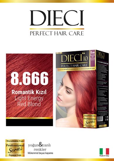DIECI COLOR KİT BOYA 8.666 AÇIK KUMRAL YOĞUN Ç.Y.K